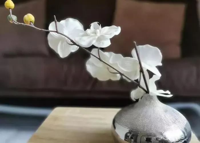 D'hotes - Au Soleilo 4* Mostuejouls